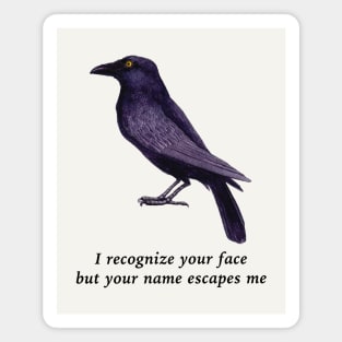 Crows Are Smart, Facial Recognition Joke Magnet